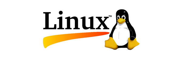 technology-linxus_logo